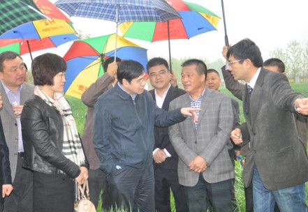 2026世界杯下注平台