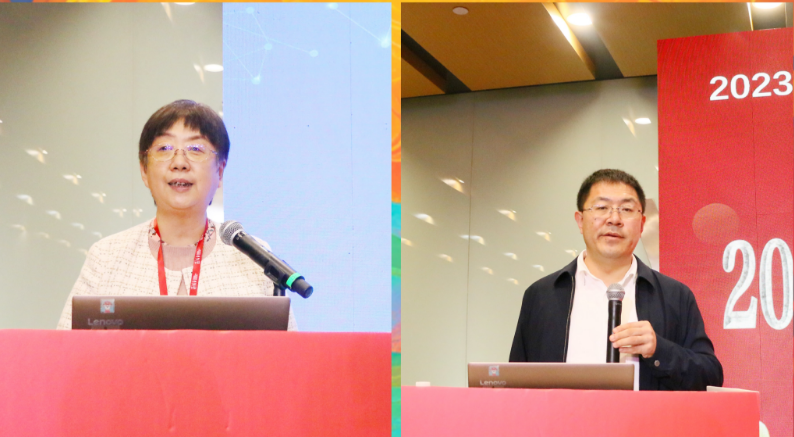 2026世界杯下注平台