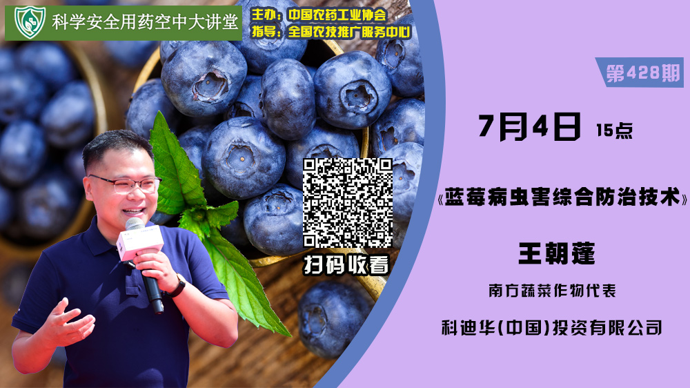 2026世界杯下注平台