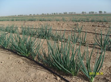 2026世界杯下注平台