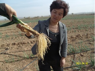 2026世界杯下注平台