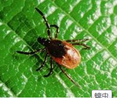 2026世界杯下注平台