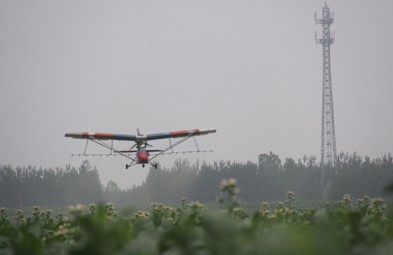2026世界杯下注平台