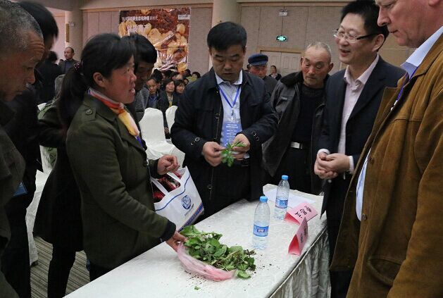 2026世界杯下注平台