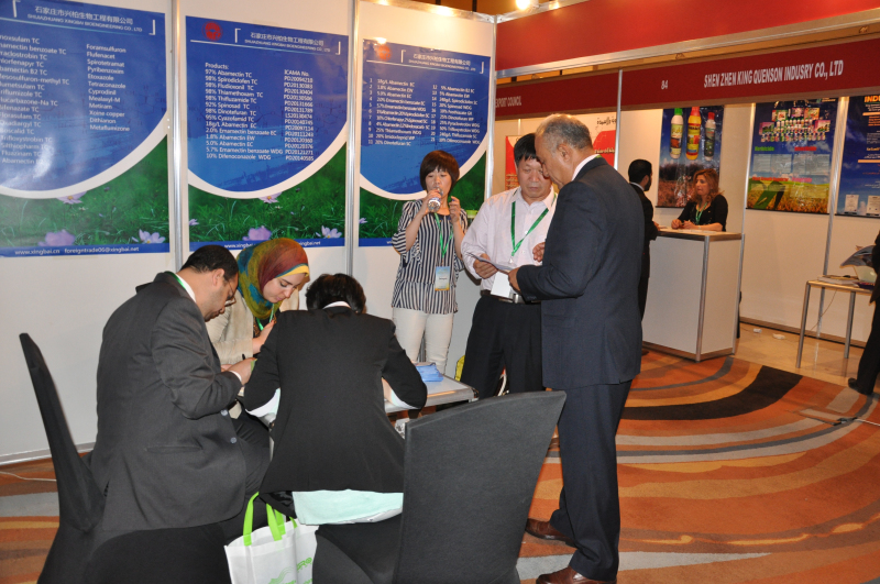 2026世界杯下注平台