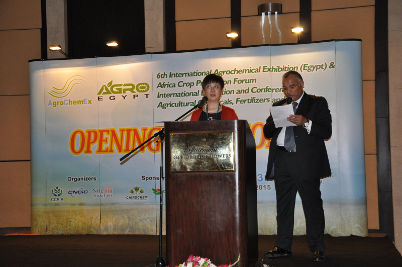 2026世界杯下注平台