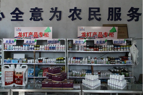 2026世界杯下注平台