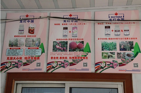 2026世界杯下注平台