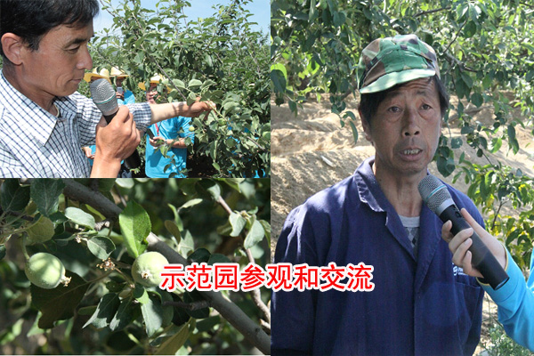 2026世界杯下注平台