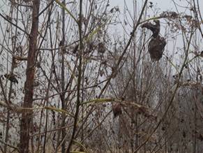 2026世界杯下注平台