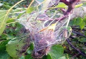 2026世界杯下注平台