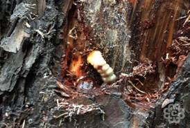 2026世界杯下注平台