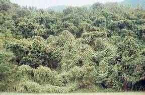 2026世界杯下注平台