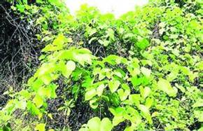 2026世界杯下注平台