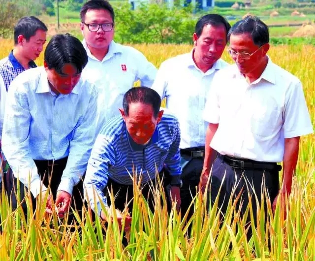 2026世界杯下注平台