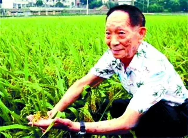 2026世界杯下注平台