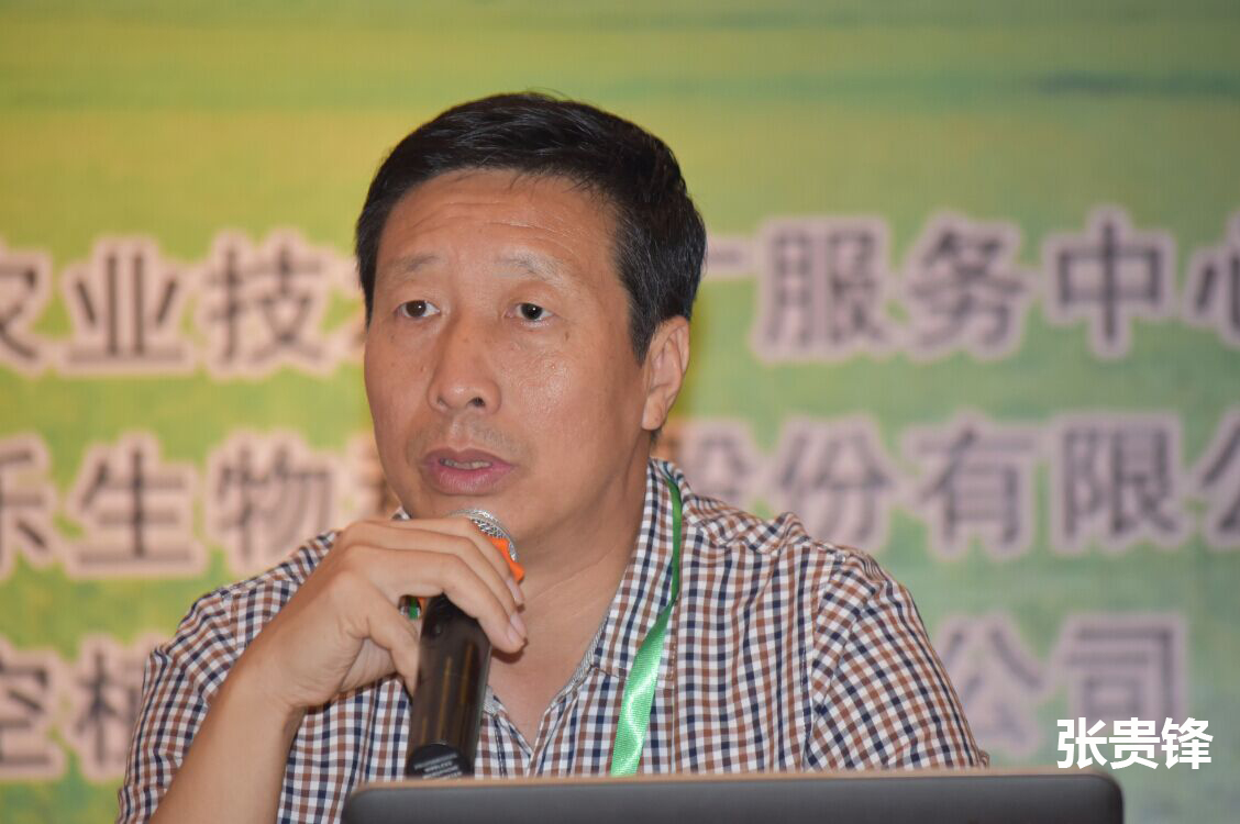 2026世界杯下注平台