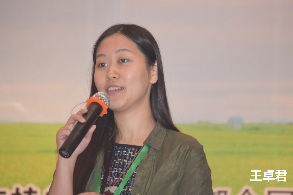 2026世界杯下注平台