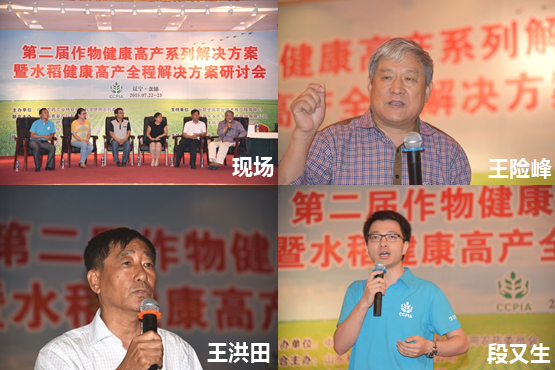 2026世界杯下注平台