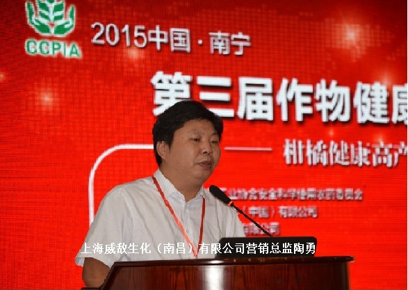 2026世界杯下注平台