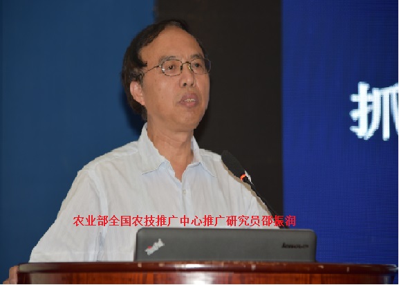 2026世界杯下注平台