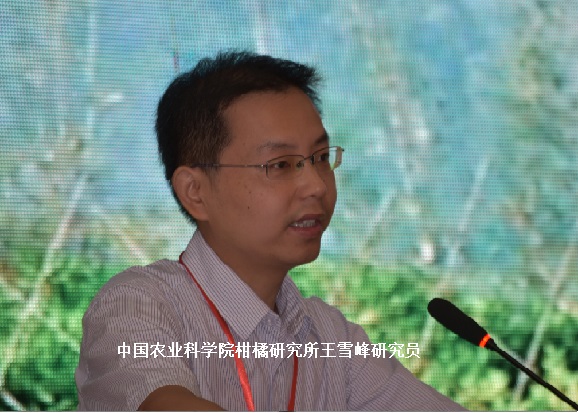 2026世界杯下注平台