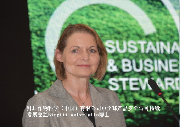 2026世界杯下注平台