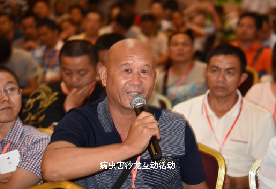 2026世界杯下注平台