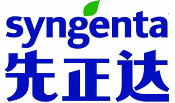 2026世界杯下注平台