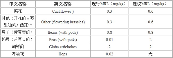 2026世界杯下注平台