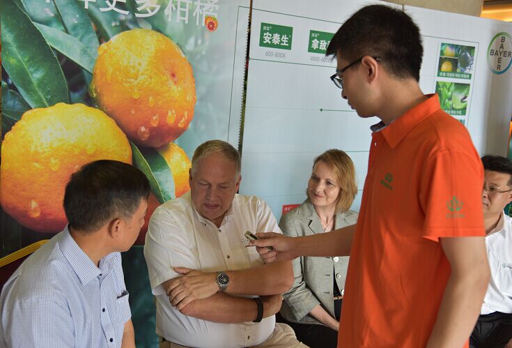 2026世界杯下注平台