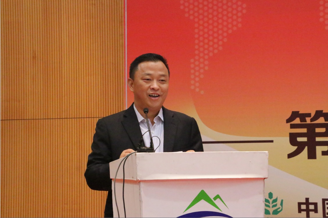 2026世界杯下注平台