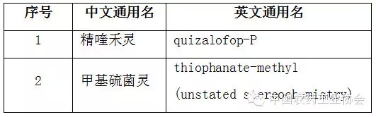 2026世界杯下注平台