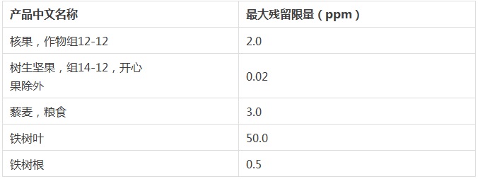 2026世界杯下注平台