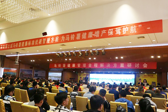 2026世界杯下注平台