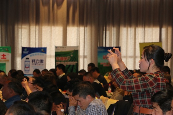 2026世界杯下注平台