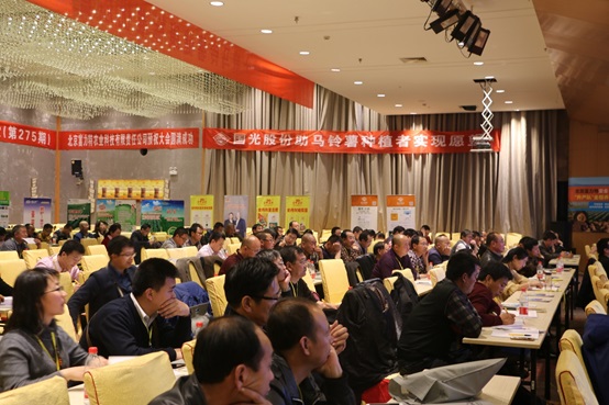 2026世界杯下注平台