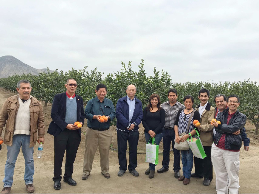 2026世界杯下注平台