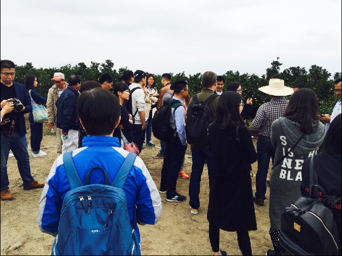 2026世界杯下注平台