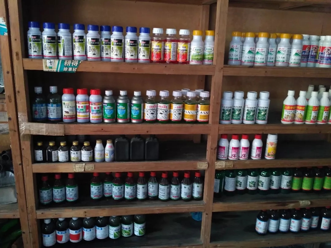 2026世界杯下注平台