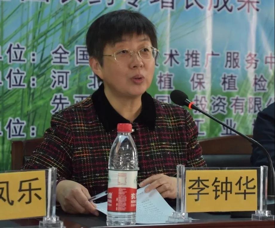 2026世界杯下注平台