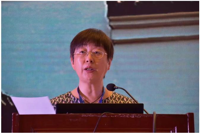 2026世界杯下注平台