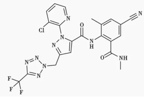 2026世界杯下注平台