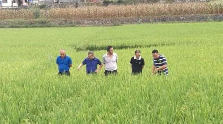 2026世界杯下注平台