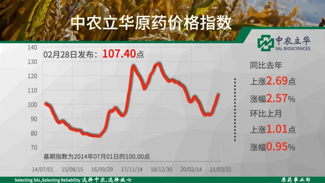 2026世界杯下注平台