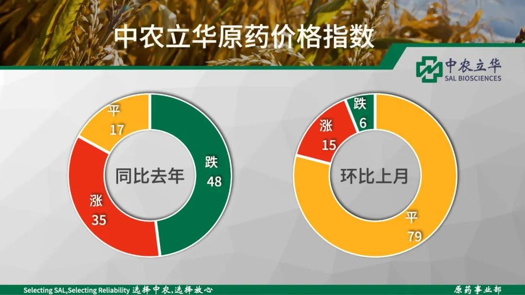 2026世界杯下注平台