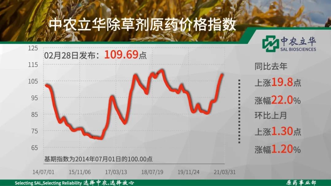 2026世界杯下注平台