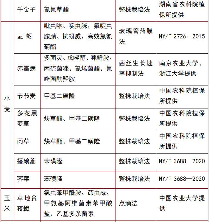 2026世界杯下注平台