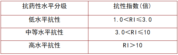 2026世界杯下注平台