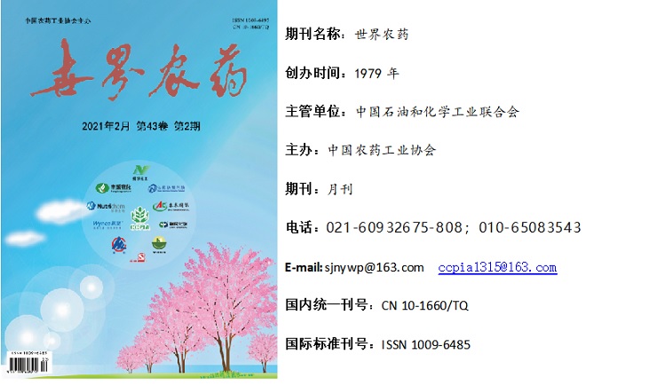 2026世界杯下注平台